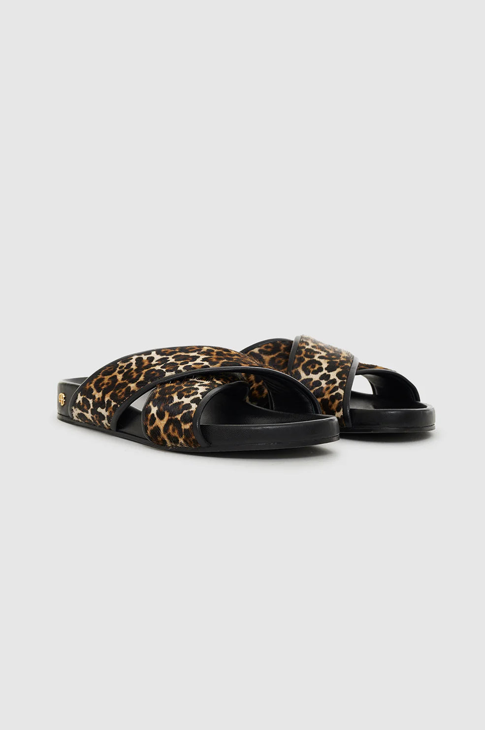 EMI SLIDES